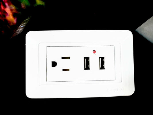 Toma USB Económica