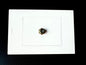 Toma Coaxial Premium White