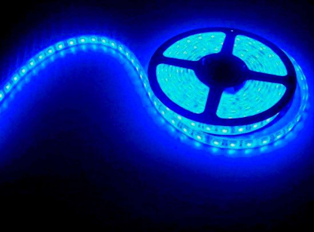 💡 Cinta LED 12V Siliconada – 5 Metros