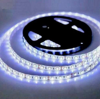 💡 Cinta LED 12V Siliconada – 5 Metros